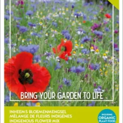 Buzzy Friendly Flowers Mix Inheems 50 M2