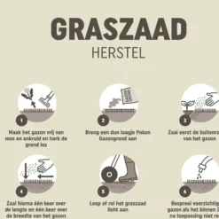 Pokon Graszaad Herstel Sos 500 G -Aanbiedingen Buiten Joy Winkel 8711969020146 7