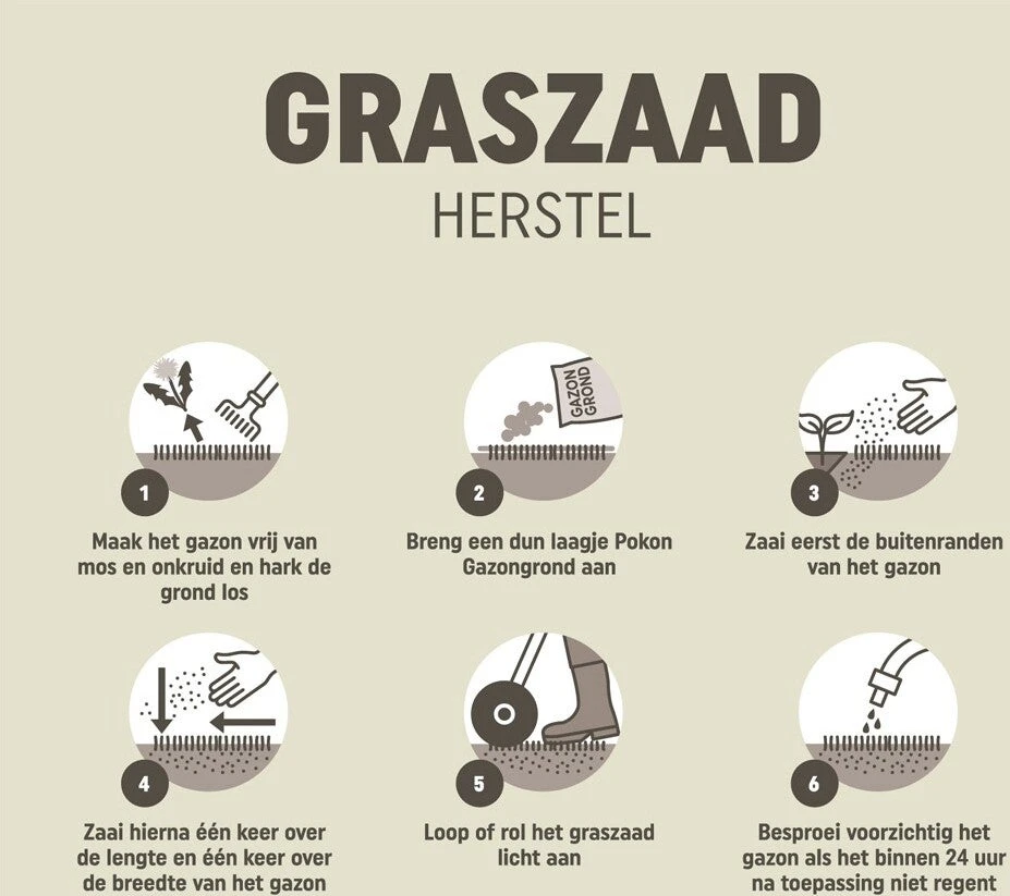 Pokon Graszaad Herstel Sos 2 Kg 5 Pokon Graszaad Herstel Sos 2 Kg - Afbeelding 5