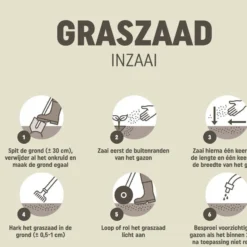 Pokon Graszaad Inzaai Rpr 1 Kg 9 Pokon Graszaad Inzaai Rpr 1 Kg -Aanbiedingen Buiten Joy Winkel 8711969020245 7