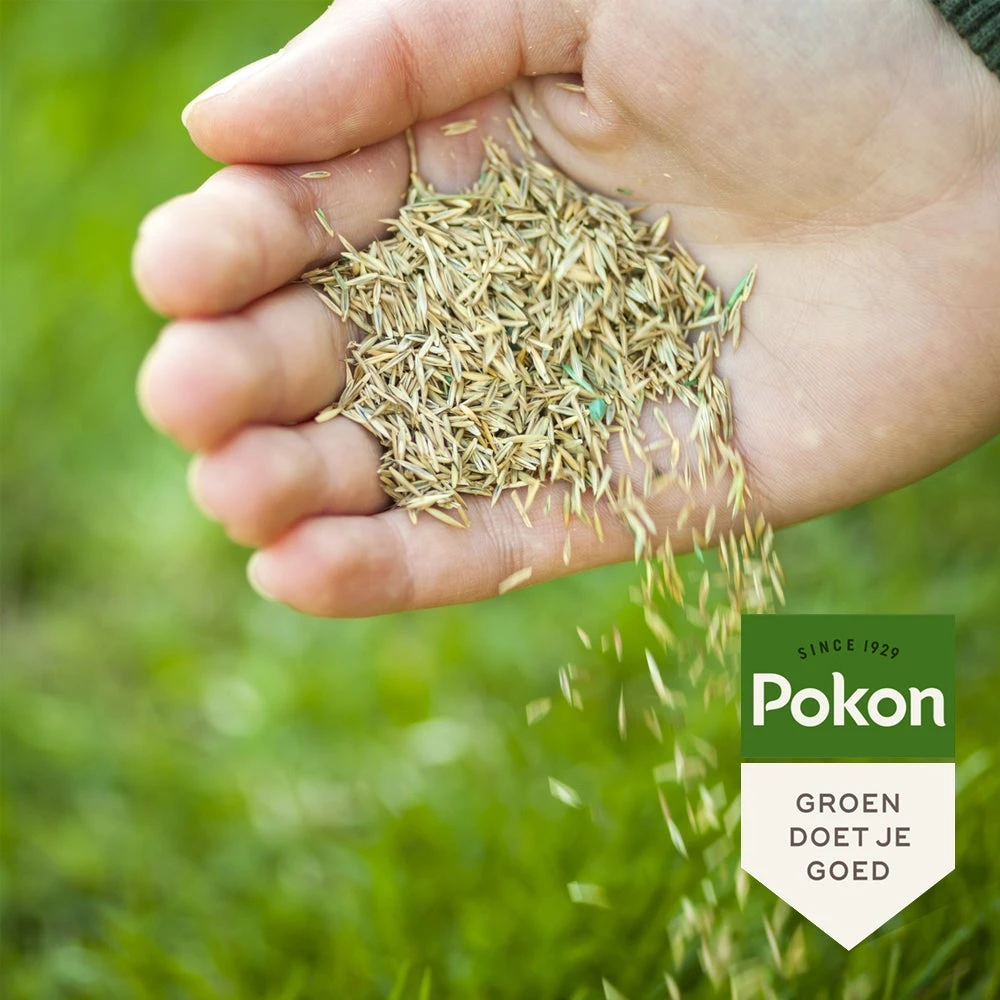Pokon Graszaad Schaduw 500 G 4 Pokon Graszaad Schaduw 500 G - Afbeelding 4