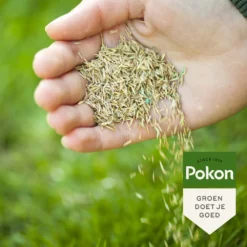 Pokon Graszaad Schaduw 1 Kg 8 Pokon Graszaad Schaduw 1 Kg -Aanbiedingen Buiten Joy Winkel 8711969020733 6