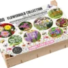 Florex Big Box Biodiversiteit 100 Stuks