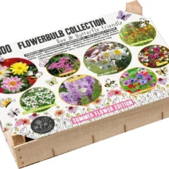 Florex Big Box Biodiversiteit 100 Stuks