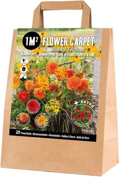 Florex Bloembollen 1M² Bloementapijt Sunny Festival 25 Stuks 1 Florex Bloembollen 1M² Bloementapijt Sunny Festival 25 Stuks