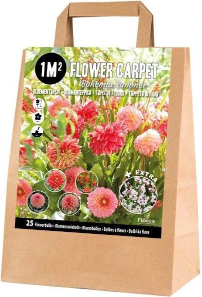 Florex Bloembollen 1M² Bloementapijt Bohemian Summer 25 Stuks 1 Florex Bloembollen 1M² Bloementapijt Bohemian Summer 25 Stuks