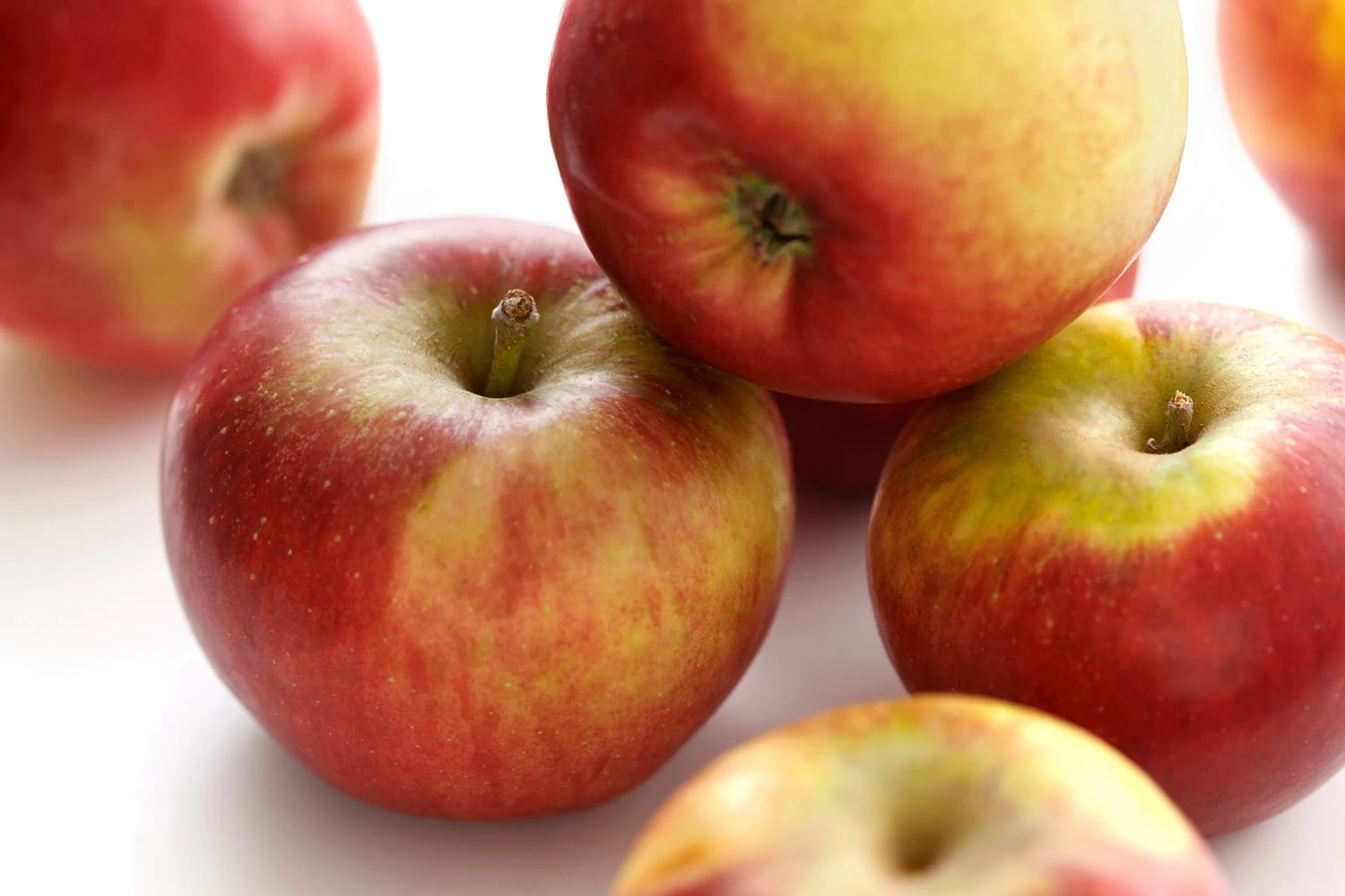 Handappel (Malus Domestica 'Ecolette') 1 Handappel (Malus Domestica 'Ecolette')