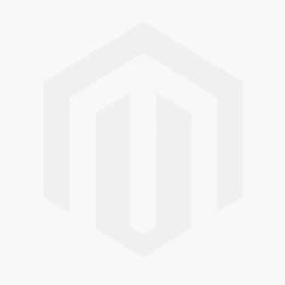 Haagbeuk (Carpinus Betulus) D 9 H 60 Cm 2 Haagbeuk (Carpinus Betulus) D 9 H 60 Cm - Afbeelding 2