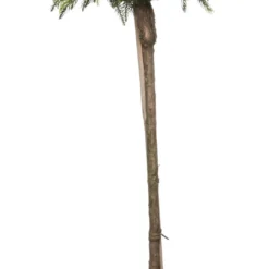 Japanse Ceder Op Stam (Cryptomeria Japonica 'Globosa Nana') D 27 H 90 Cm