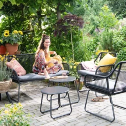 Perzische Slaapboom (Albizia Julibrissin) D 34 H 100 Cm