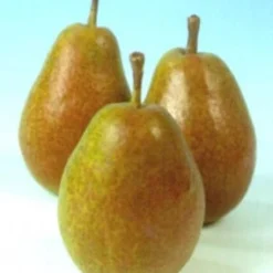 Aanbiedingen Buiten Joy Winkel -Aanbiedingen Buiten Joy Winkel 8717263278108 1 1