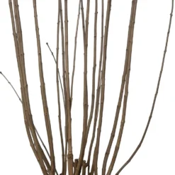 Sering (Syringa Vulgaris 'Charles Joly') D 32 H 100 Cm