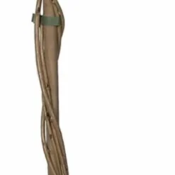 Blauwe Regen (Wisteria Floribunda 'Domino') D 23 H 210 Cm