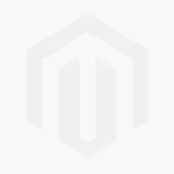 Olijfboom (Olea Europaea) D 35 H 100 Cm