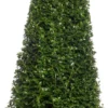 Buxus Kegelvorm (Buxus Sempervirens) D 23 H 95 Cm