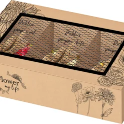 Baltus Bloombox Flower My Life Dalhia Knol (Dahlia Pompon) 3 Stuks