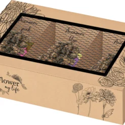 Baltus Bloombox Flower My Life Anemoon Knol (Anemone) 45 Stuks