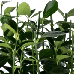 Aanbiedingen Buiten Joy Winkel -Aanbiedingen Buiten Joy Winkel 8720196671083 1