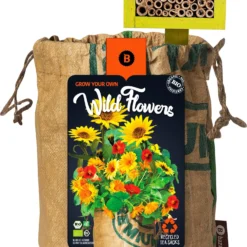 Baza Wild Flowers Biologische Gemengde Wildbloemen Oranje Met Insectenhotel