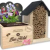 Baza Bee Hotel Biologische Prachtboon (Lathyrus) Met Insectenhotel