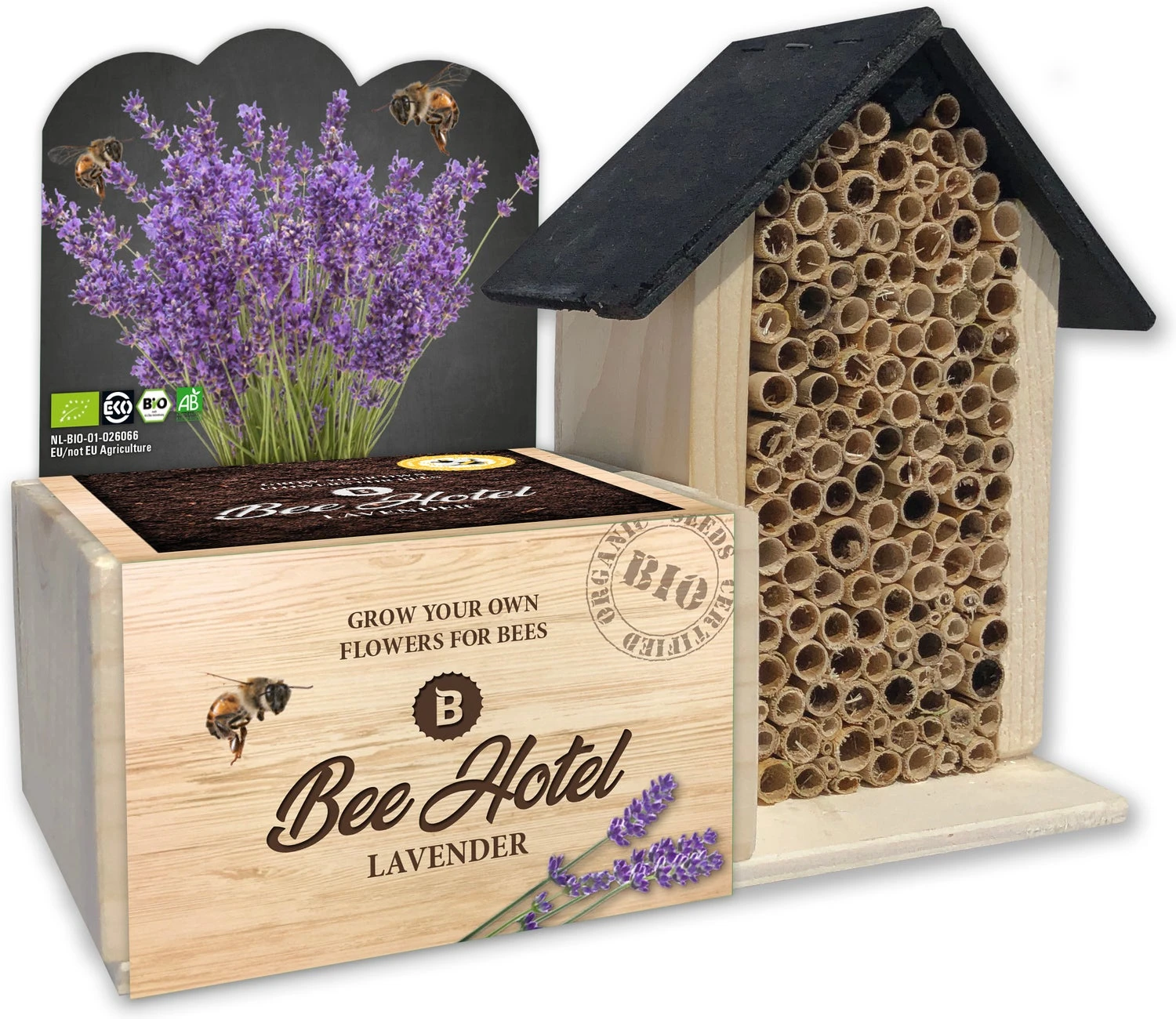 Baza Bee Hotel Biologische Lavendel (Lavandula) Met Insectenhotel 1 Baza Bee Hotel Biologische Lavendel (Lavandula) Met Insectenhotel